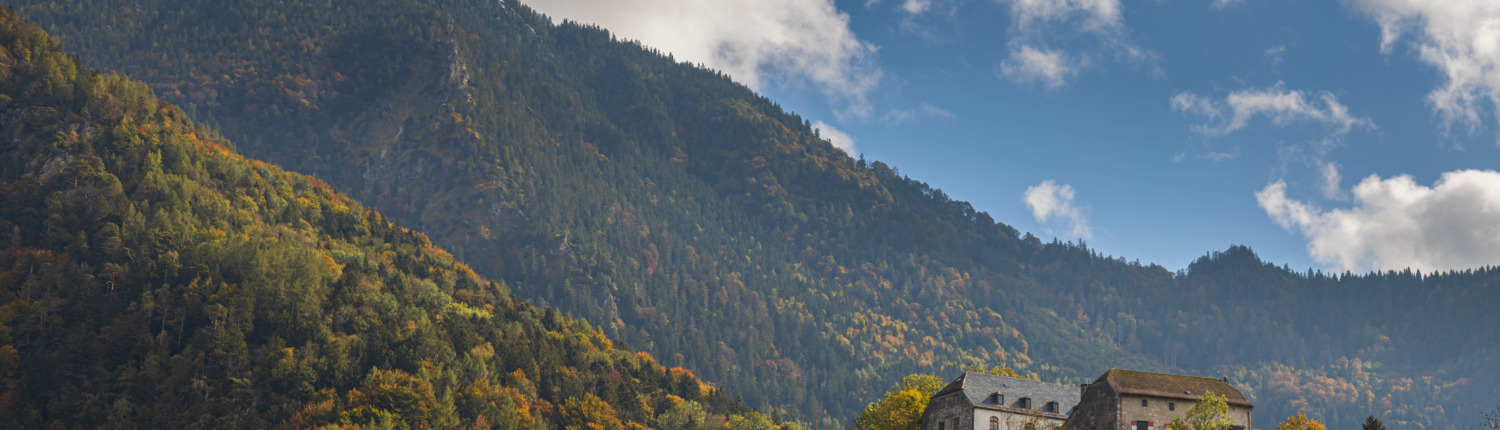 Bonum Genuss und Kunst