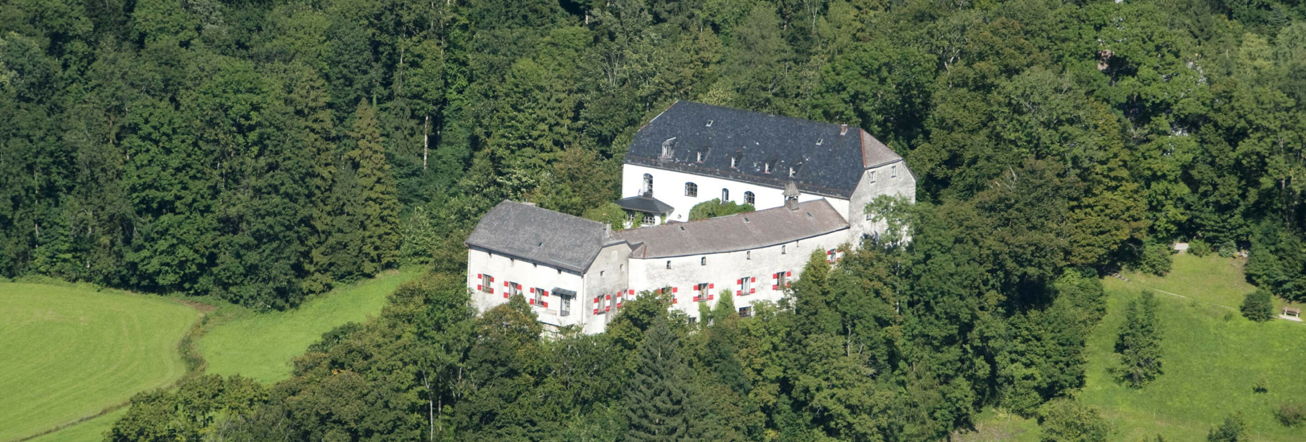 burg-luftbild~-~1440w