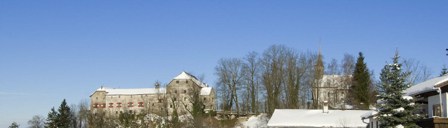 Burg und "Nazi-Peter" im Winter (Vodermeier)